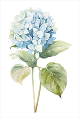 HK353 - Blue Hydrangea Bloom   - 12x18