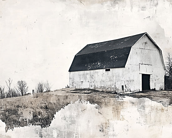 Heidi Kuntz HK519 - HK519 - Country Quiet - 16x12 barn, rural landscape, farmhouse, country scene, black and white, rustic photography style, weathered texture, minimalist landscape from Penny Lane