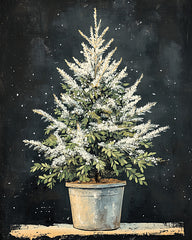 HK587 - Silent Night - 12x16