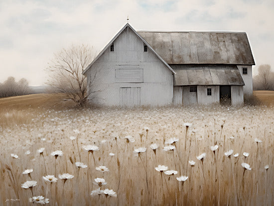 Jo Moulton JO166 - JO166 - Wild Daisies  - 16x12 white barn, daisy field, rustic farm landscape, countryside meadow, peaceful farmhouse, serene scenery, Americana rural art from Penny Lane