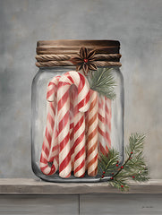 JO181 - Candy Cane Stash - 12x16