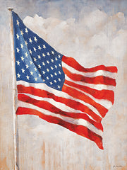 JO334 - Freedom Flyer - 12x16