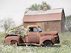 LD2885 - The Rusty Flower Box - 16x12