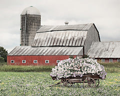 LD2898 - Dexter Flower Wagon - 16x12
