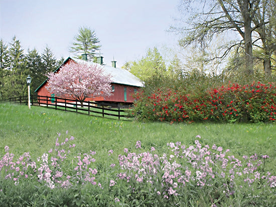 Lori Deiter LD3615 - LD3615 - Hidden Beauty - 16x12 Photography, Farm, Barn, Red Barn, Flowers, Wildflowers, Fence, Lamppost, Flowering Tree from Penny Lane