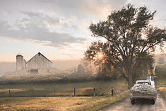 LD3682 - Sunrise Over the Farm - 18x12