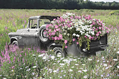 LD3796 - Truckload of Blooms - 18x12
