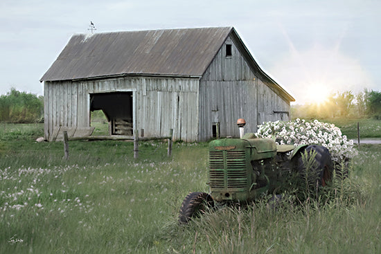 Lori Deiter LD3823 - LD3823 - Rusty Relic    - 18x12 weathered gray barn, green tractor, wagon overflowing with white flowers, rustic farm equipment, sunset glow, spring grass, rural pasture, old wooden barn, vintage tractor, countryside charm, blooming wildflowers, quiet homestead, pastoral landscape, farmhouse decor, painterly rural art from Penny Lane