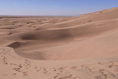 LD3863 - Nature's Sculptures - 18x12