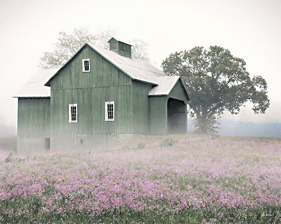 Lori Deiter LD3917 - LD3917 - Olive Branch Farm - 16x12 green barn, lavender wildflowers, fog, misty morning, spring meadow, rural landscape, farmhouse style, old barn, soft light, pastel sky, peaceful countryside, painterly, country charm from Penny Lane
