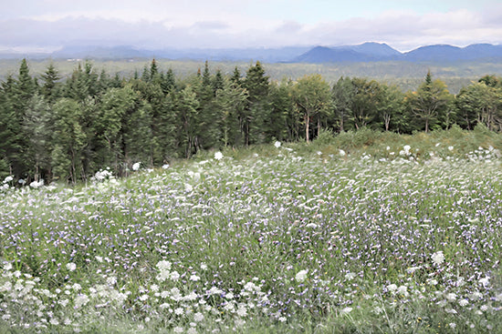 Lori Deiter LD3951 - LD3951 - Mountain Wildflowers - 18x12 wide meadow, wildflowers, green field, tree line, forest, distant mountains, summer landscape, open field, countryside, nature, soft painterly, peaceful, airy sky, modern farmhouse decor from Penny Lane
