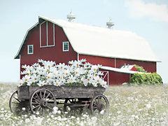 LD3971 - Cart Full of Sunshine - 16x12
