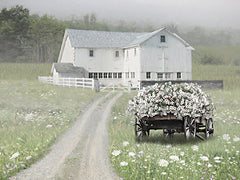 LD3976 - Misty Country Morning - 16x12