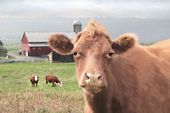 Lori Deiter LD3984 - LD3984 - Nosey Cow - 18x12 brown cow close up, red barn, silo, green pasture, grazing cattle, foggy hills, farm field, curious cow face, country barnyard, livestock portrait, rural dairy farm, peaceful countryside, pastoral animal art, soft painterly brushwork, farmhouse wall decor from Penny Lane