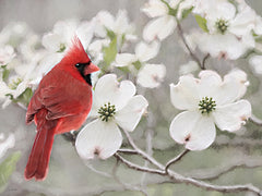 LD4004 - Cardinal's Floral Perch - 16x12