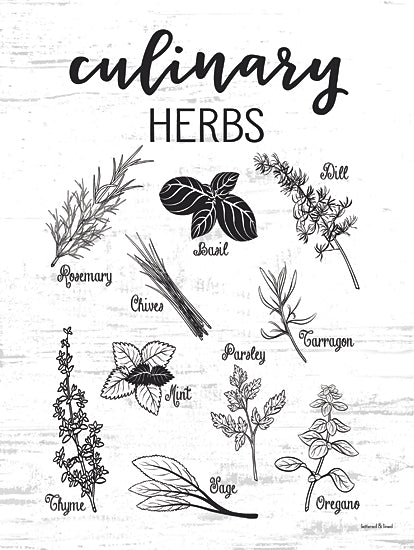 lettered & lined LET1157 - LET1157 - Culinary Herbs - 12x16 culinary herbs illustration, rosemary basil thyme mint oregano parsley sage dill chives, botanical kitchen art, farmhouse herb chart, black and white line drawing, rustic background, modern farmhouse decor from Penny Lane