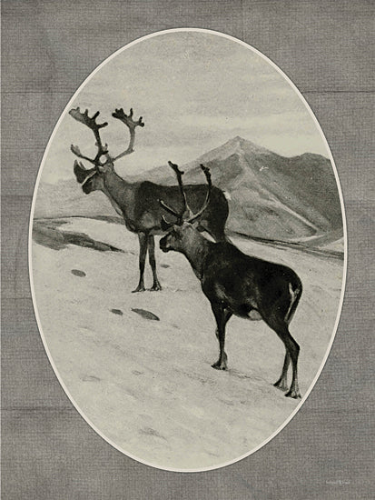 lettered & lined LET1363 - LET1363 - High Atop a Mountain II - 12x16 caribou or reindeer pair, snowy tundra, oval vintage frame, mountain background, monochrome wildlife illustration, gray fabric mat, winter lodge decor, rustic animal art, antlers, alpine landscape, neutral cabin wall art from Penny Lane