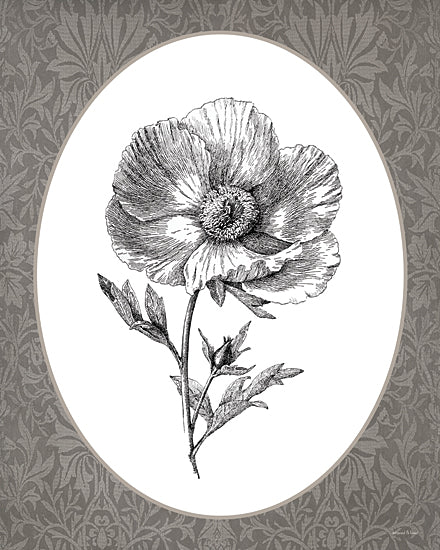 lettered & lined LET1375 - LET1375 - Vintage Botanical I - 12x16 botanical flower illustration, vintage floral sketch, black and white flower, engraved style, single bloom, neutral decor, farmhouse wall art from Penny Lane