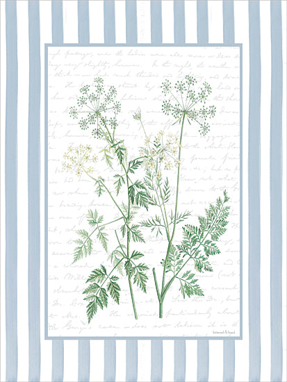 lettered & lined LET1494 - LET1494 - Lace Petals I - 12x16 botanical, backgrounds & patterns, floral, greenery, leaves, wild carrot, queen anne's lace, script, text, decorative, vintage, digital illustration, blue from Penny Lane