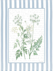 LET1494 - Lace Petals I - 12x16