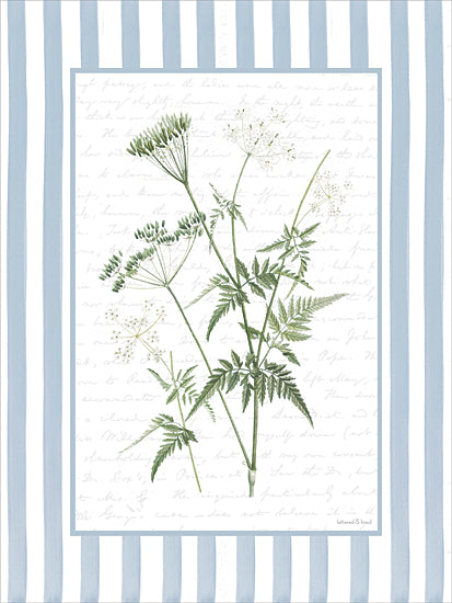 lettered & lined LET1495 - LET1495 - Lace Petals II - 12x16 botanical, backgrounds & patterns, floral, greenery, wild carrot, queen anne's lace, fern, script, vintage, decorative, digital illustration, blue from Penny Lane