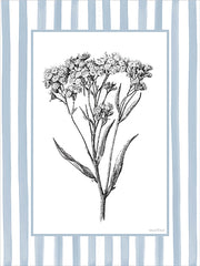 LET1500 - Floral Sketch IV - 12x16
