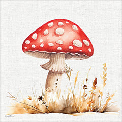 LET1616 - Toadstool Treasures 2 - 12x12