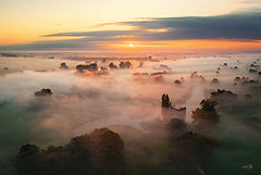 MPP1093 - Above the Morning Fog - 18x12