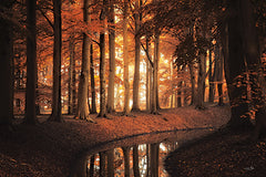 MPP1114 - In His Presence There is Peace - 18x12