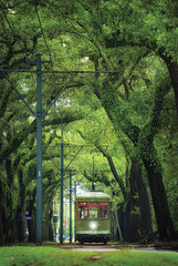 MPP1180 - St. Charles Streetcar - 12x18