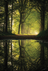 MPP1182 - Clear Reflections      - 12x18
