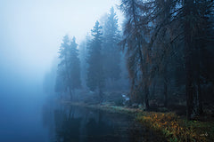 MPP1220 - What the Fog - 18x12