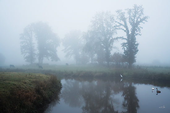 Martin Podt MPP1221 - MPP1221 - Foggy Grazing Grounds - 18x12 foggy riverside landscape, misty meadow, calm river, tree reflections, grazing cows, swans on water, white heron, moody countryside, early morning fog, tranquil nature scene, soft blue tones, pastoral setting, foggy trees, serene wetland, peaceful rural landscape, reflective water, atmospheric photography, European countryside, wildlife in mist, quiet dawn scene from Penny Lane