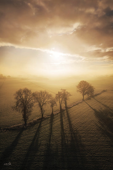 Martin Podt MPP1258 - MPP1258 - Trees at Peace - 12x18 field, sunrise, trees, long shadows, morning light, landscape, peaceful, nature photography, countryside, misty dawn from Penny Lane