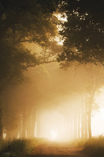 Martin Podt MPP1295 - MPP1295 - Sun-Kissed Fog I - 12x18 landscape, botanical, path, trees, greenery, rural, mist, fog, sunrise, forest, avenue, moody, photography, gold from Penny Lane