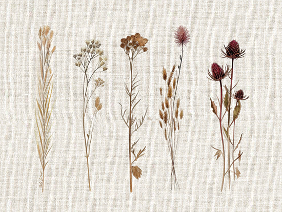Nicole DeCamp ND642 - ND642 - Pressed Flowers For You III - 16x12 pressed botanical grasses and flowers, natural specimen display on linen from Penny Lane
