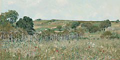 RAD1485 - Meadow View - 18x9