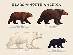 RAD1627 - Bears of North America - 16x12
