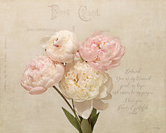 RIG281 - Beloved Letter - 16x12