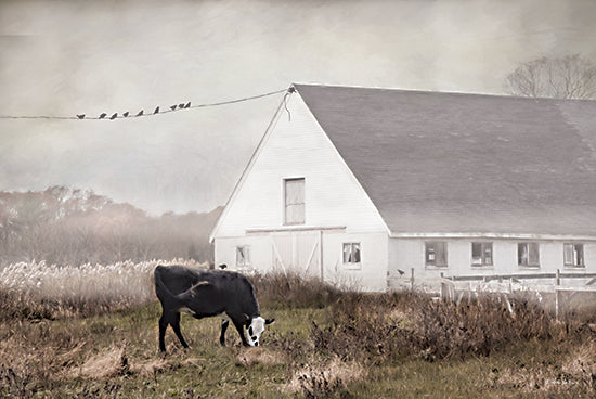 Robin-Lee Vieira RLV804 - RLV804 - Barnyard Bliss - 18x12 farm scene, cow grazing, barnyard, country landscape, rustic farmhouse, overcast sky, photography style painting from Penny Lane