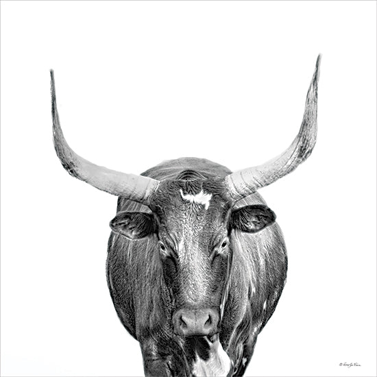Robin-Lee Vieira RLV806 - RLV806 - Horns Plenty - 12x12 longhorn bull, western cattle, black and white animal portrait, rustic cowboy style, masculine livestock, strong horns from Penny Lane