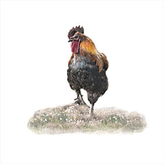 RLV848 - Stepping Out - 12x12