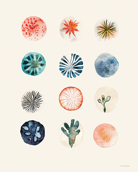 Svetlana Aleinikova SA129 - SA129 - Botanical Flora - 12x16 oyster shell watercolor study, coastal seafood illustration, marine still life from Penny Lane