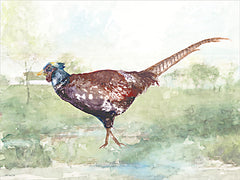 SDS1568 - Woodland Wanderer 2 - 18x12