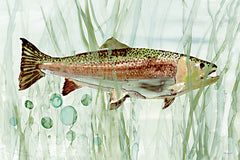 SDS1579 - Lake Fish 1 - 18x12