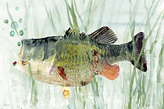 SDS1580 - Lake Fish 2 - 18x12