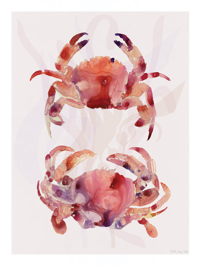 Stellar Design Studio SDS1601 - SDS1601 - Red Crab Duo - 12x16 red crab pair, watercolor marine painting, tropical crustacean art, ocean animal decor, coral tones, beach home wall art, sea life illustration from Penny Lane