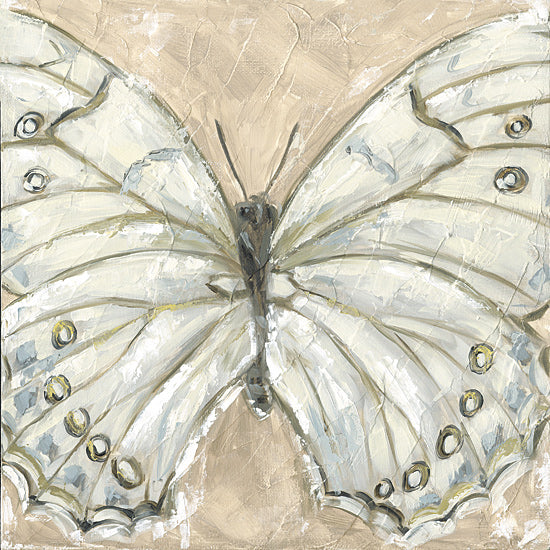 Sara G. Designs SGD257 - SGD257 - Showstopper - 12x12 white butterfly close up, delicate wings, nature insect illustration from Penny Lane