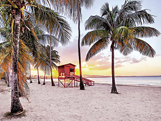Catch A Star Fine Art STAR223 - STAR223 - Tropical Twilight - 16x12 tropical beach, palm trees, lifeguard tower, sunset from Penny Lane