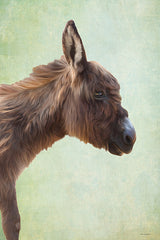 STAR314 - Willow the Donkey - 12x18